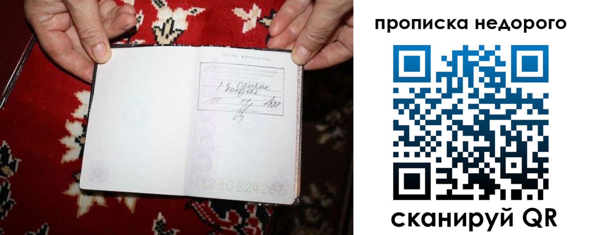 прописка гарантия в Павловском Посаде